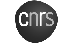 logo crns