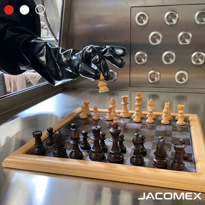 World Chess Day